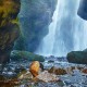 home_journey_blog1-1200x700